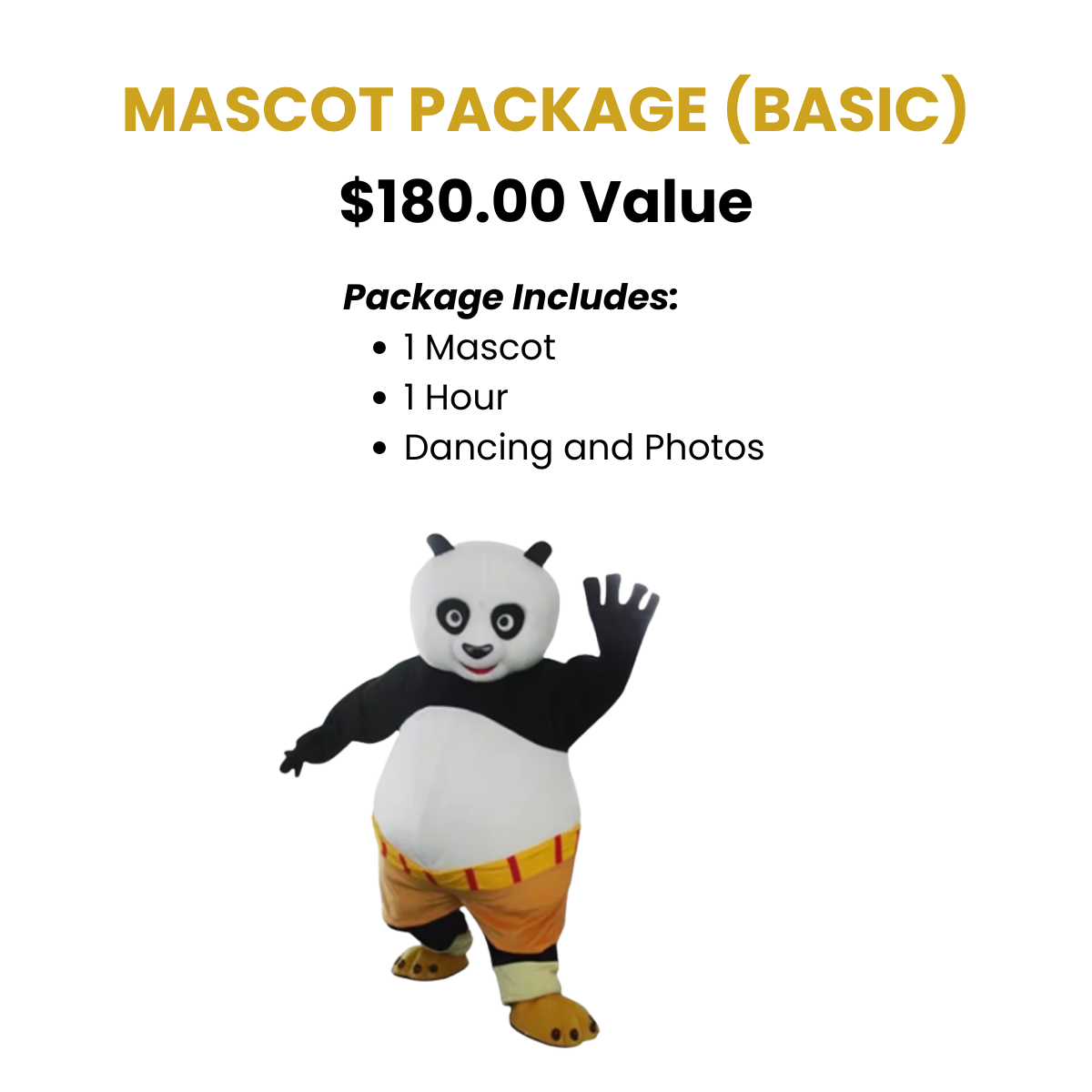 Mascot Party Package - Basic